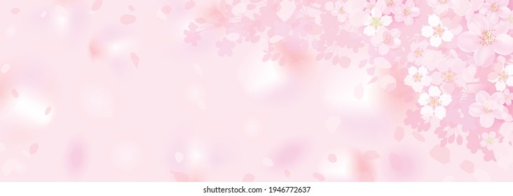 Horizontal background illustration of fluffy, blurry cherry blossoms
