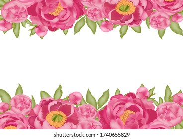 Horizontal background with pink peonies and green leaves with 3D effect on a white background isolated, stock vector illustration, for design and decoration, with place for text, postcard, banner