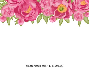 Horizontal background with pink peonies and green leaves isolated on a white background, stock vector illustration with 3D effect, postcard, banner, poster, place for text