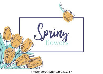 Horizontal background template with hand drawn tulips and text. Banner with spring flowers on white background. Top view elements in pale tender colors.