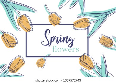 Horizontal background template with hand drawn tulips and text. Banner with spring flowers on white background. Top view elements in pale tender colors.