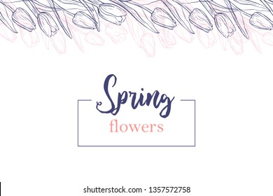 Horizontal background template with hand drawn tulips and text. Banner with spring flowers on white background. Top view elements in pale tender colors.