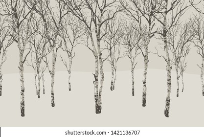 horizontal background with trees. Birch Vector illustration