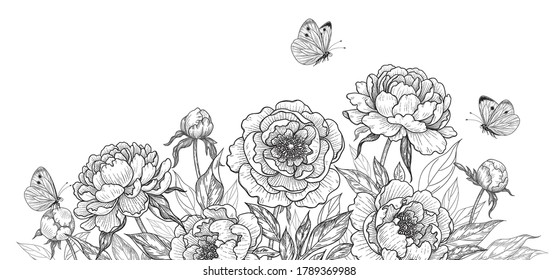 Horizontal backgrounds with blooming peonies and butterflies. Black and white flowers and flying moths. Vector monochrome elegant floral composition in vintage style, template wedding decoration.