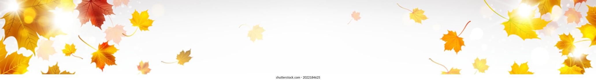 horizontal banner with autumn leaves in the rays of the sun