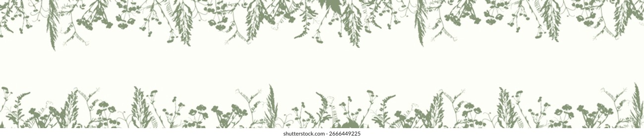 Anuncio Horizontal con flores y hierba de pradera fronteriza, silueta de tinta verde. Fondo herbario. Herbario. Ilustración vectorial