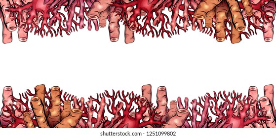 Horizontal banner with border of various colorful cartoon corals and place for text.  Vector tamplate for banner, card and your design.