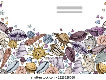 Horizontal banner with colored shells, sea animals, on a white background, space for text, colorful vector hand drawing illustration.