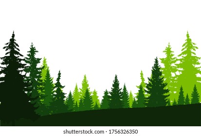 Horizontal banner of coniferous wood 