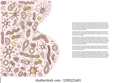 Horizontal banner with different microarganisms cells. Template for cards, brochures, social media. Set of bacterias shape. Vector doodle style composition.