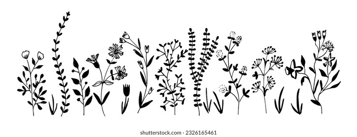 Horizontal  banner or floral backdrop decorated with gorgeous multicolored blooming flowers and leaves border. Spring botanical flat vector illustration on white background
