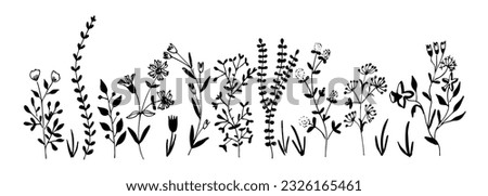 Horizontal  banner or floral backdrop decorated with gorgeous multicolored blooming flowers and leaves border. Spring botanical flat vector illustration on white background
