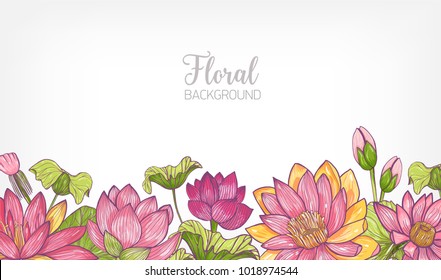 Horizontal banner or floral background decorated with bright colored blooming lotus flowers and leaves at bottom edge. Hand drawn botanical vector illustration for decorative natural backdrop.