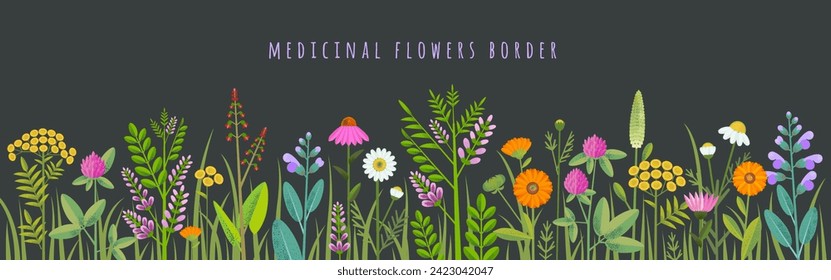 Horizontal banner or floral background decorated with gorgeous colorful blooming medicinal flowers and grass border
