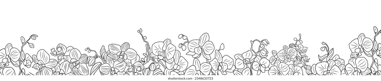 Banner horizontal, borde floral, marco, superposición, fondo decorado con magníficas flores de orquídea floreciendo. Ilustración de boceto de tinta monocromática botánica aislada en fondo blanco