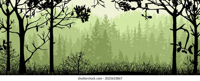 Horizontal banner of forest background, silhouettes of trees, bushes and grass. Magical misty landscape, fog. Black and green illustration. Bookmark. 