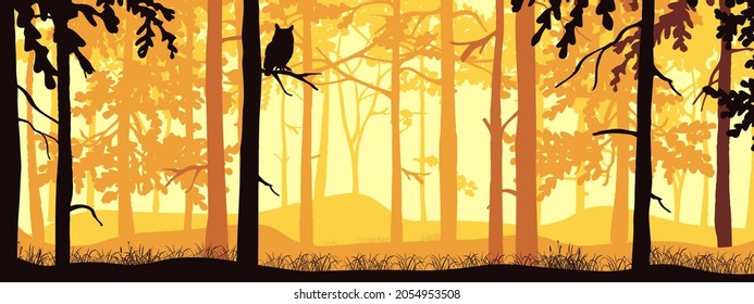 Horizontal banner of forest background, silhouettes of trees, owl on branch. Magical misty landscape, fog. Yellow and orange illustration. Bookmark. 