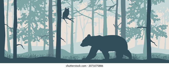 Horizontal banner. Forest landscape. Bear in magic misty forest. Owl on branch. Silhouettes of trees and animals. Blue background, illustration. 