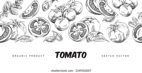 Horizontal banner with hand drawn monochrome different tomatoes and leaves, sketch style, vector illustration. Fresh healthy food, organic vegetables, vegetarian product