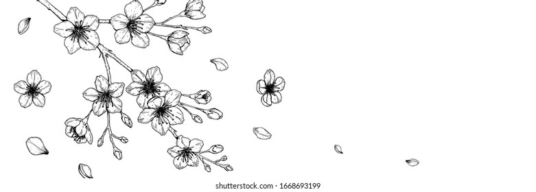 Horizontaler Banner mit handgezeichneter Frühlingsblüte im Skizzenstil. Frühlingsdesign für Karten, Banner, Briefe, Einladungen, Schlagzeilen. Ort für Text