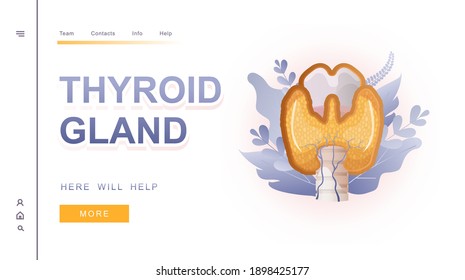 horizontal banner, information page template thyroid health, help, examination of the internal organ of the endocrine system vector illustration white background