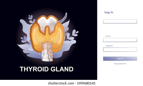banner horizontal, plantilla de página de información salud tiroidea, ayuda, examen del órgano interno del sistema endocrino ilustración vectorial