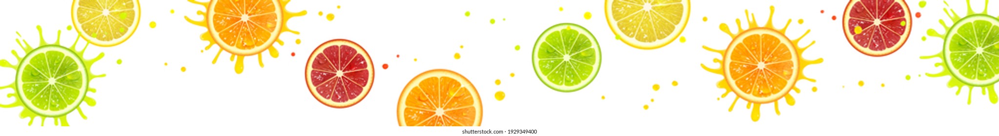 horizontal banner with juicy citrus fruits on a white background