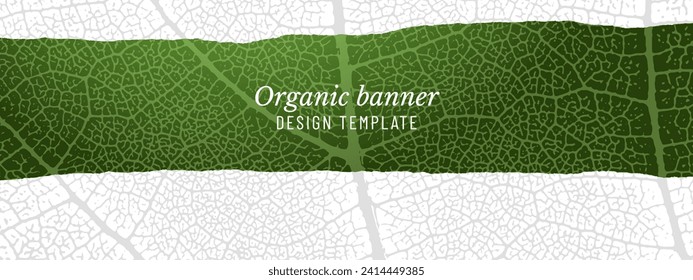 Horizontal banner with leaf texture. Natural textured template. Torn outline shape. Editable color. Vector
