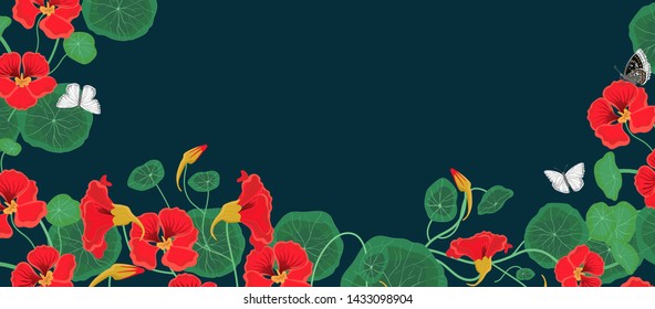 Horizontal banner with nasturtium flowers and butterflies. Vector template.