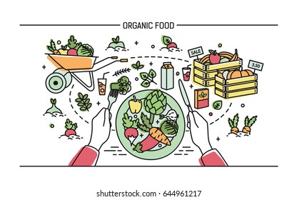 Horizontal banner with organic food. Composition with vegetables on plate, different fresh products, greenery, fruit, drinks. Colorful vector illustration in lineart style.