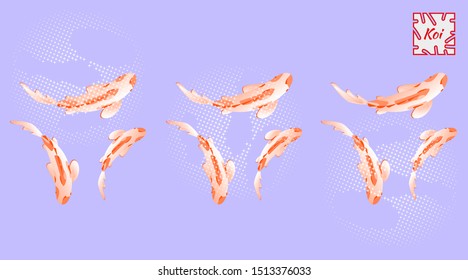 Horizontal banner in oriental style, set with koi fish with coral spots on light background. Vector illustration, Cyprinus Carpio.