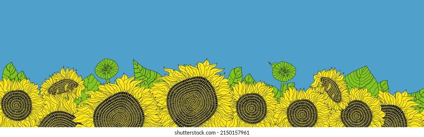 Horizontal banner or poster with sunflowers. Illustration for prints, wall art, cover and invitation. Hand drawn vector Illustration. 