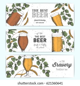 Horizontal Banner set with beer glasses, barley and hops. Vector illustration in sketch style. Hand drawn colorful beer banners. Engraved style image