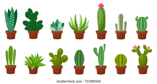 Horizontal banner set of desert, room green cactus. Flat, cartoon style. Vector illustration white background. Element design.