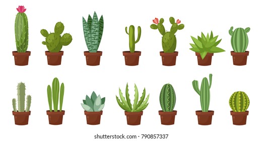 Horizontal banner set of desert, room green cactus. Flat, cartoon style. Vector illustration white background. Element design.