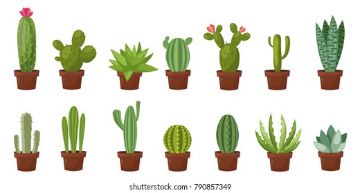Horizontal banner set of desert, room green cactus. Flat, cartoon style. Vector illustration white background. Element design.
