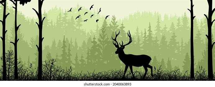 Horizontal banner. Silhouette of deer standing on meadow in forrest. Silhouette of animal, trees, grass. Magical misty landscape, fog. Green, black illustration. Bookmark.