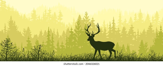 Horizontal banner. Silhouette of deer standing on meadow in forrest. Silhouette of animal, trees, grass. Magical misty landscape, fog. Green, black illustration. 