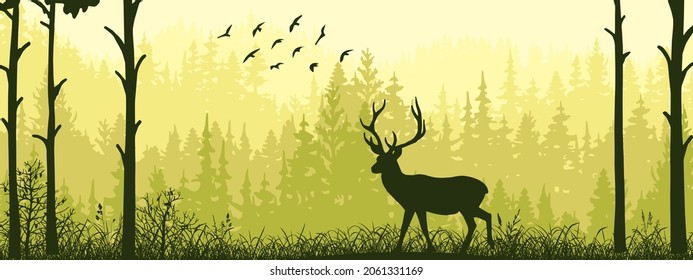 Horizontal banner. Silhouette of deer standing on meadow in forrest. Silhouette of animal, trees, grass. Magical misty landscape, fog. Green, black illustration. 