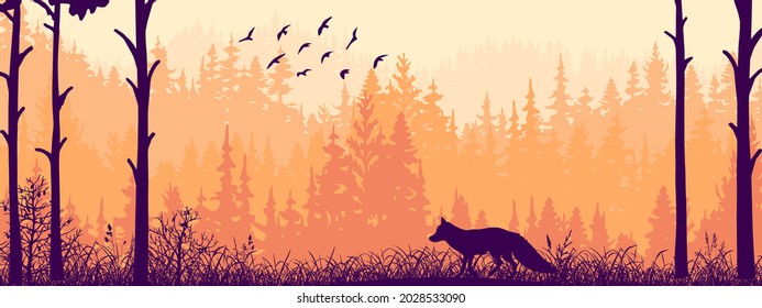 Horizontal banner. Silhouette of fox standing on meadow in forrest. Silhouette of animal, trees, grass. Magical misty landscape, fog. Pink and orange illustration. Bookmark.