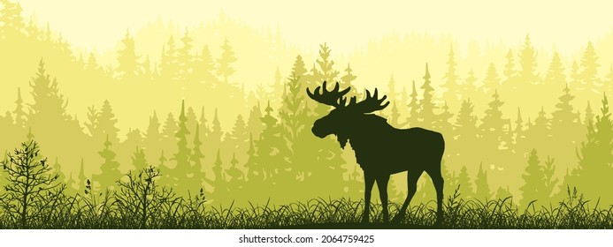 Horizontal banner. Silhouette of moose standing on meadow in forrest. Silhouette of animal, trees, grass. Magical misty landscape, fog. Green and yellow illustration. Bookmark.