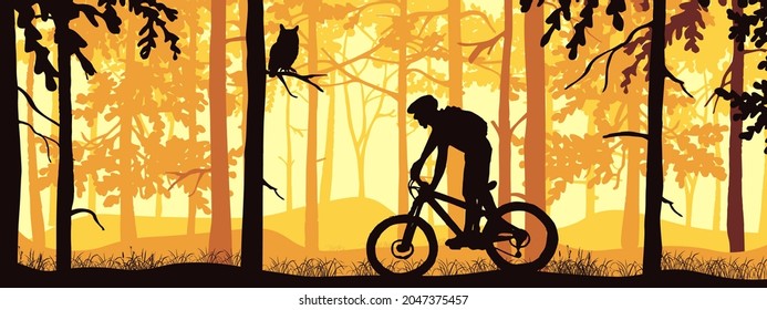 Horizontal banner. Silhouette of mountain bike rider on meadow in forrest. Silhouette of biker, trees, grass. Magical misty landscape, fog. Orange, violet, pink illustration. Bookmark.