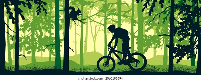 Horizontal banner. Silhouette of mountain bike rider in magical misty forest. Wild nature landscape. Owl on branch. Green illustration.