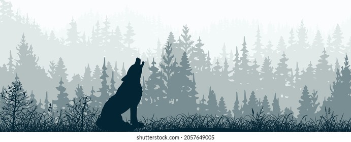 Banner horizontal. Silhouette de lobo parado en la pradera en el bosque. Silhouette de animal, árboles, hierba. Magico paisaje de niebla, niebla. Ilustración azul y gris. Marcador.