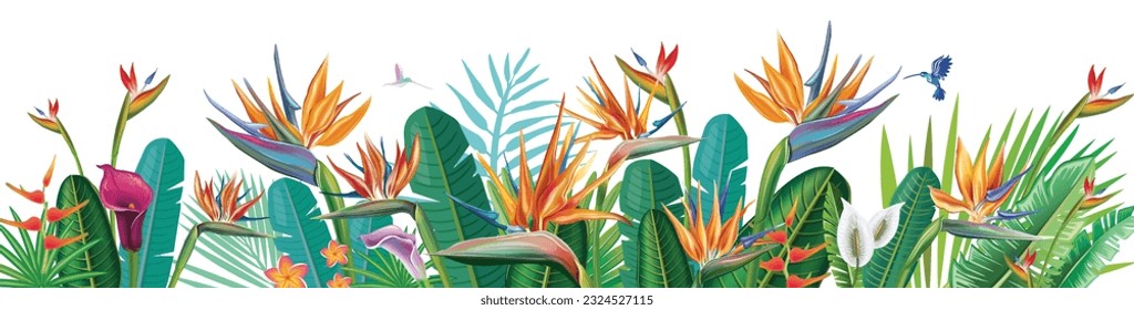 Horizontal  banner from Strelitzia flowers and tropical plants