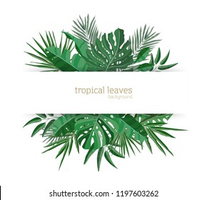 Horizontal banner template decorated with green foliage of tropical paradise plants or green exotic palm leaves. Elegant Hawaiian composition. Colorful seasonal realistic vector illustration.