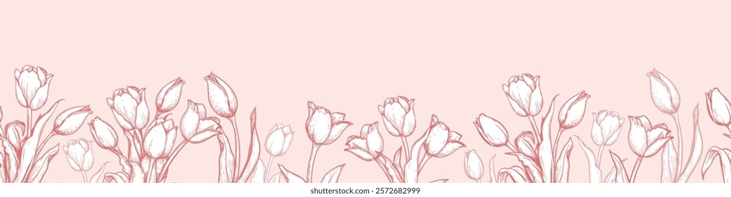 Horizontal banner template with hand drawn sketch style tulips on pink. Springtime holidays background. Vector illustrations.