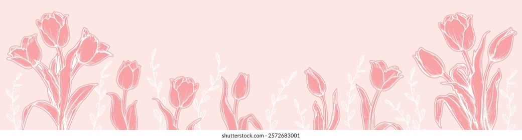 Horizontal banner template with hand drawn sketch style tulips on pink. Springtime holidays background. Vector illustrations.