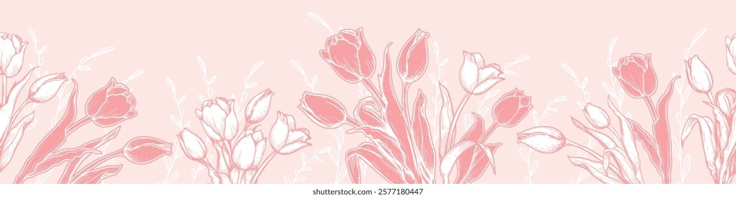 Horizontal banner template with hand drawn sketch style tulips on pink. Springtime holidays background. Vector illustrations.