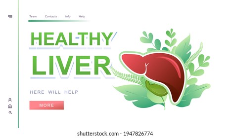 horizontal banner template website landing page medical theme, human internal health on white background